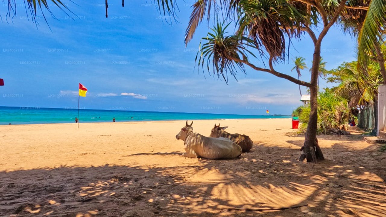 Trincomalee Beach Sri Lanka
